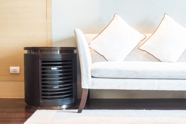 Air Purifiers and Ventilation Systems