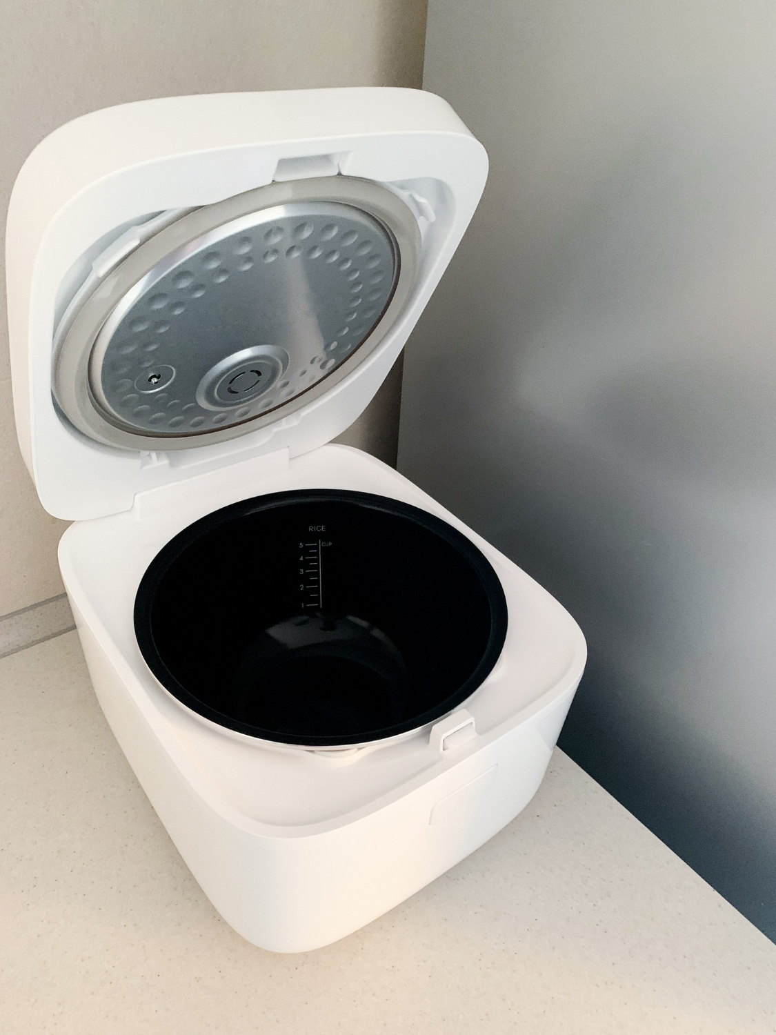 Rice Cookers and Warmers