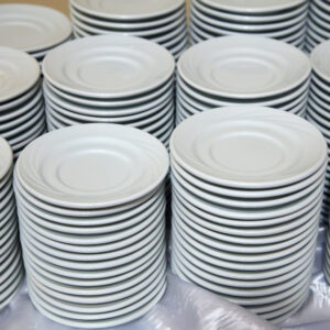 Standard Dinner  Plates