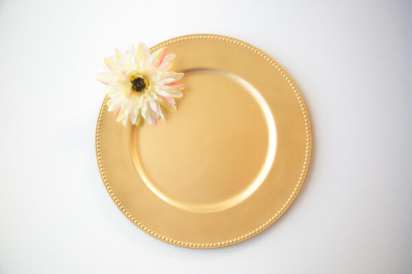 Charger Plates - Image 2